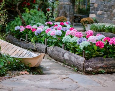 pexels-nguy-n-ti-n-th-nh-2150376175-36338272 copy