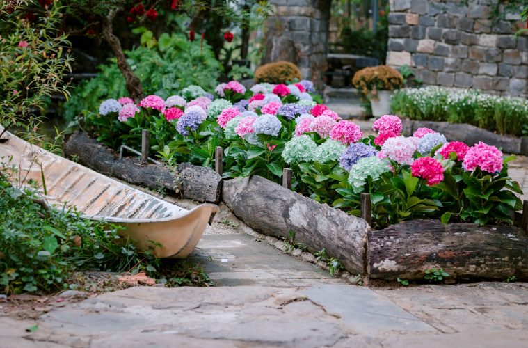 pexels-nguy-n-ti-n-th-nh-2150376175-36338272 copy