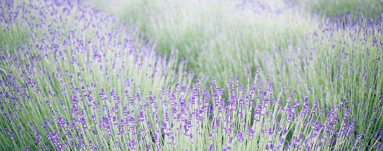 pexels-orlovamaria-4916243