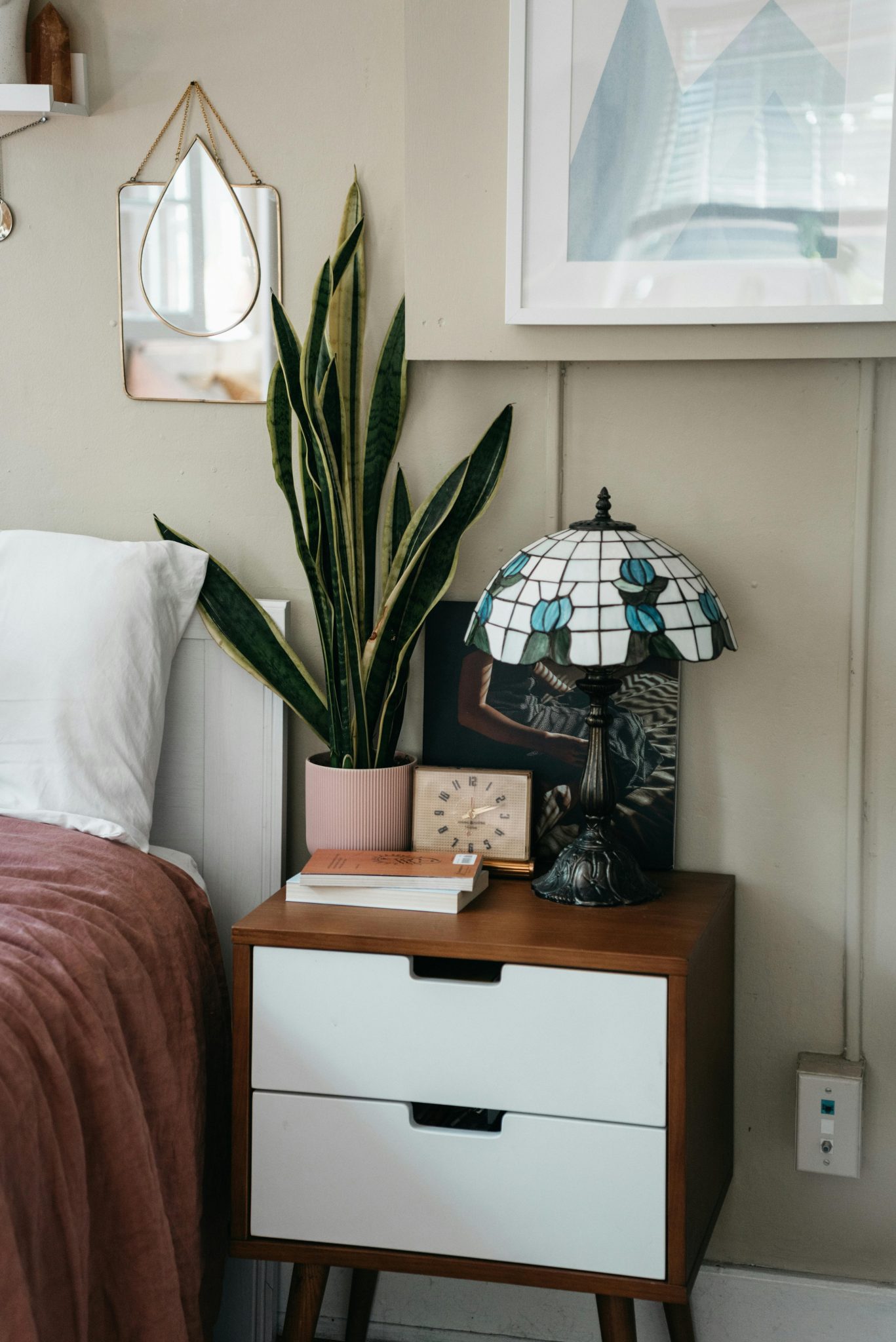Why Snake Plants are the perfect bedroom companion | SA Garden and Home