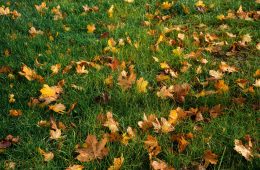 pexels-tatius-5879102 copy (1)