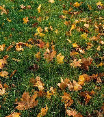 pexels-tatius-5879102 copy (1)