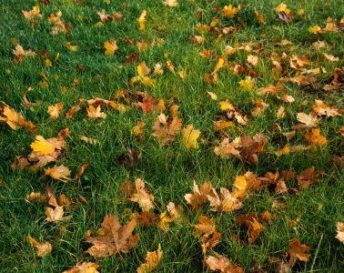 pexels-tatius-5879102 copy (1)