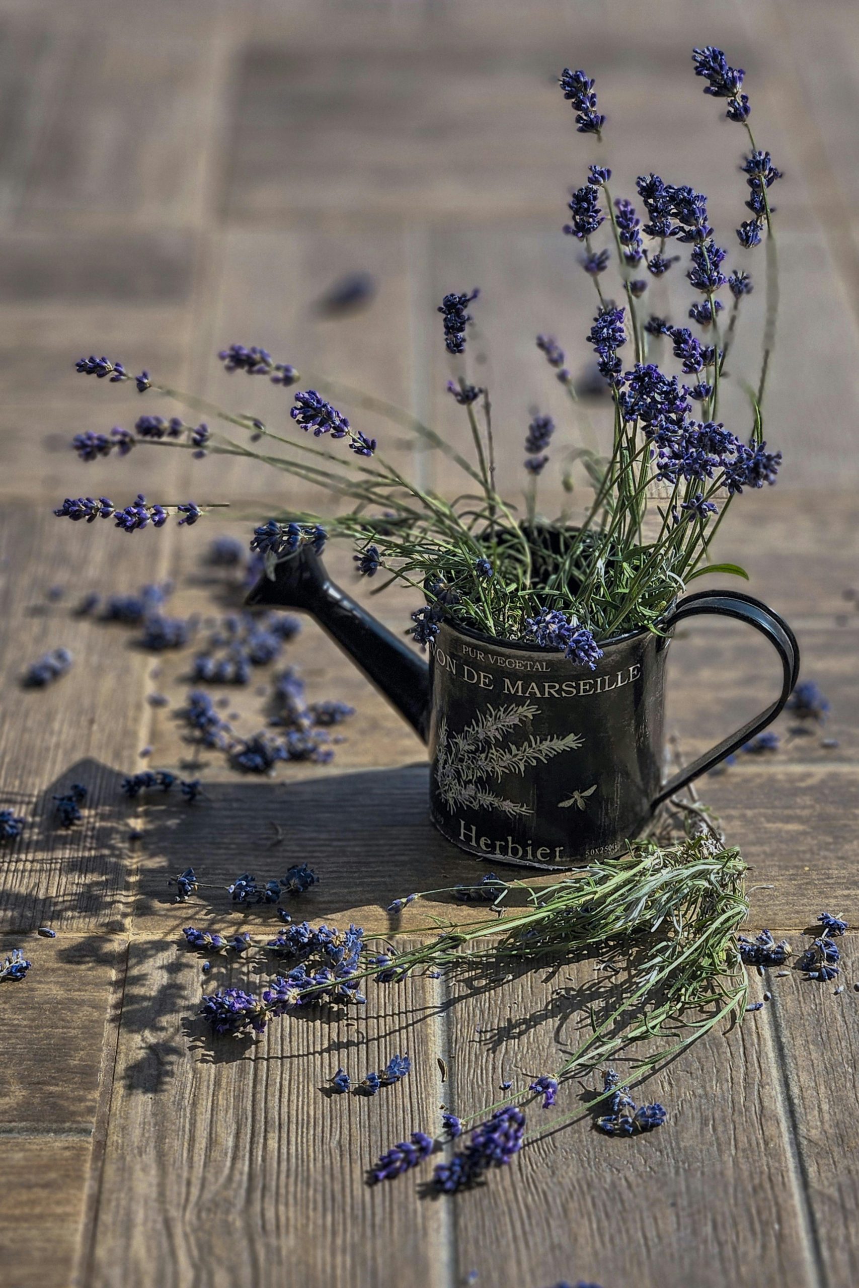 pexels-van3ssa-peace-love-272678138-32756938