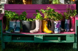 pexels-wal_-172619-2156618639-36208534