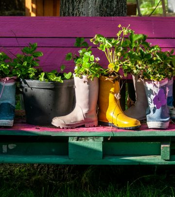 pexels-wal_-172619-2156618639-36208534