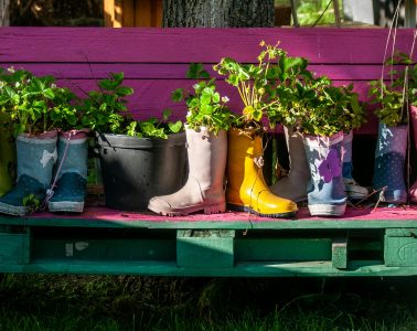 pexels-wal_-172619-2156618639-36208534