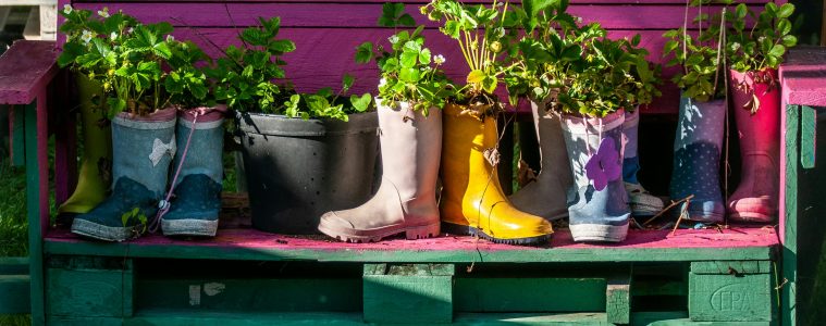 pexels-wal_-172619-2156618639-36208534