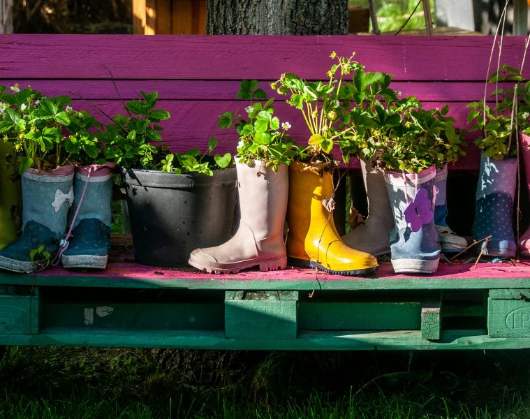 pexels-wal_-172619-2156618639-36208534