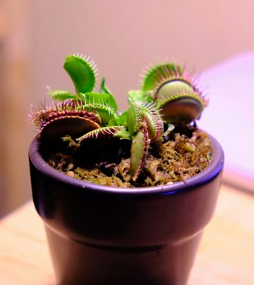 ph-m-m-nh-Ameb2BWhMVM-unsplash