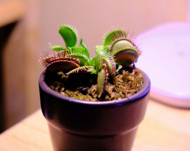 ph-m-m-nh-Ameb2BWhMVM-unsplash