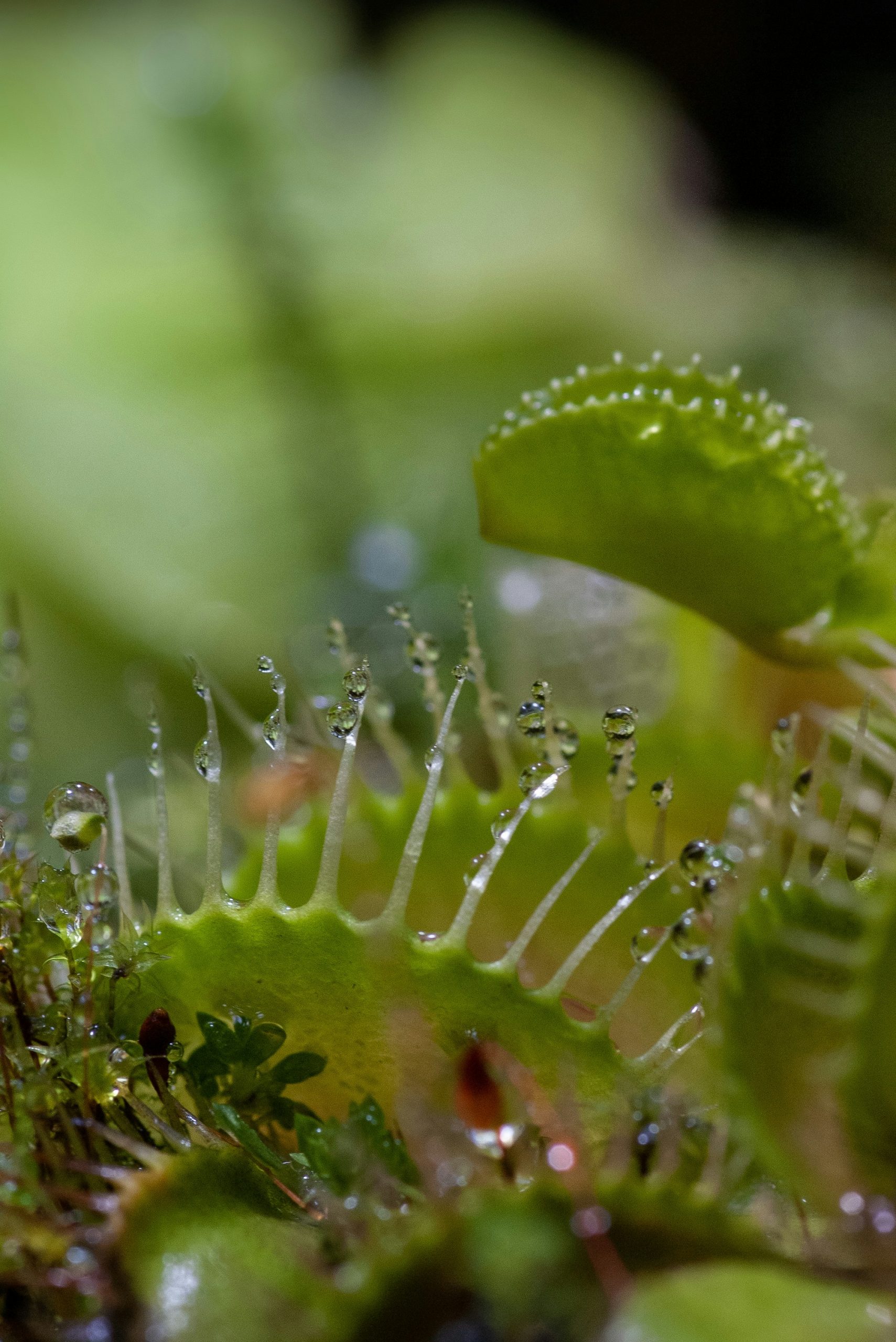 yoksel-zok-29BrmSD6rnI-unsplash