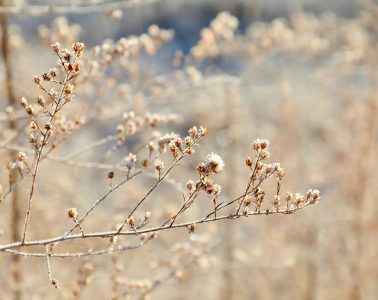 amber-C3iS6W0zUMs-unsplash