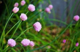 amber-ford-wM_DpLyHCzg-unsplash copy