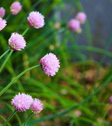 amber-ford-wM_DpLyHCzg-unsplash copy