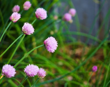 amber-ford-wM_DpLyHCzg-unsplash copy