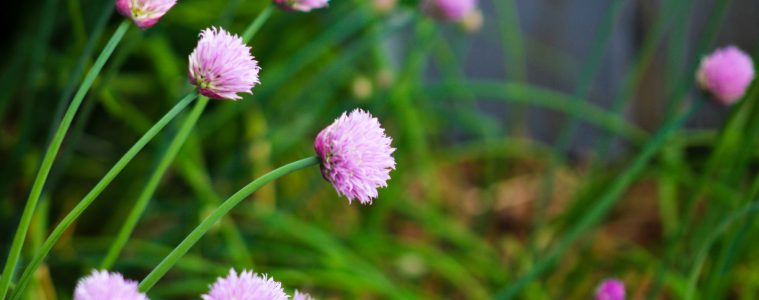 amber-ford-wM_DpLyHCzg-unsplash copy