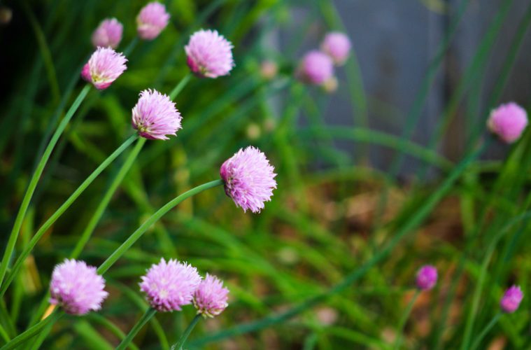 amber-ford-wM_DpLyHCzg-unsplash copy