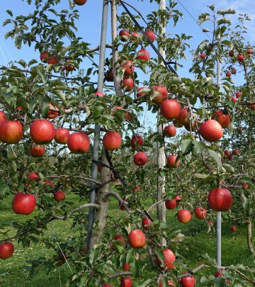 arthur-tseng-UgnS9v_2VVc-unsplash (1) copy 2