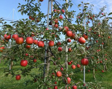 arthur-tseng-UgnS9v_2VVc-unsplash (1) copy 2