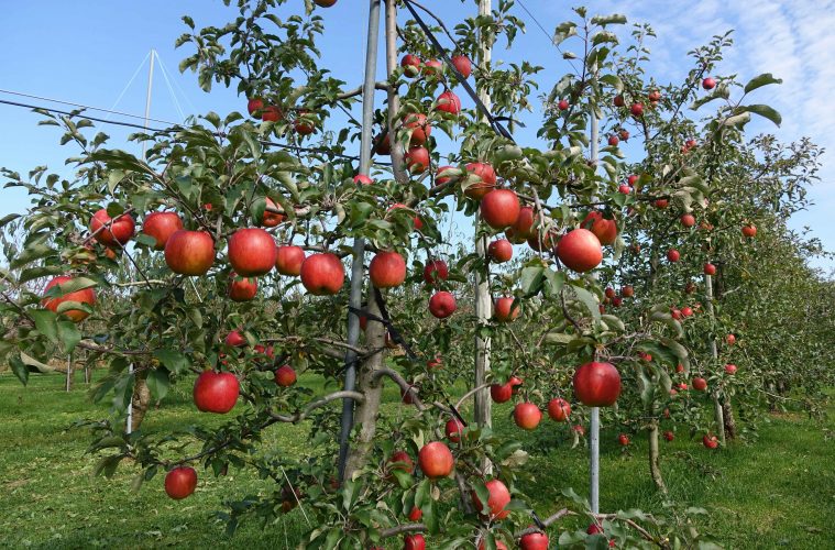 arthur-tseng-UgnS9v_2VVc-unsplash (1) copy 2