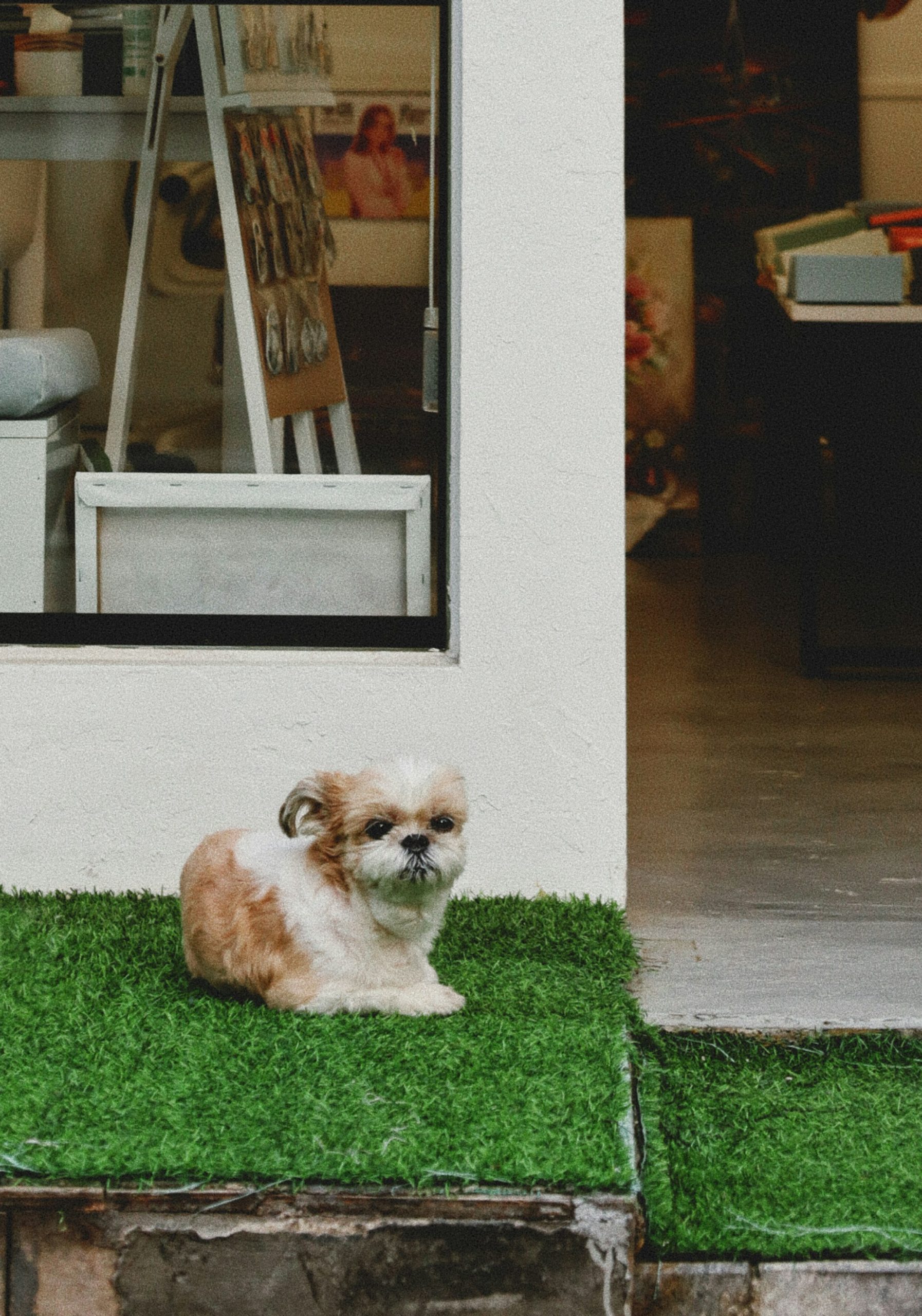 evgeniya-pron-W84d_Z_0UVg-unsplash