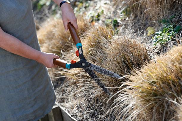 BRUSSELS, BELGIUM - APRIL 10 : woman working in the garden during the outbreak of COVID-19. Illustration pictures on April 10, 2020 in Brussels, Belgium, 10/04/2020 ( Photo by Jimmy Bolcina / Photonews via Getty Images)