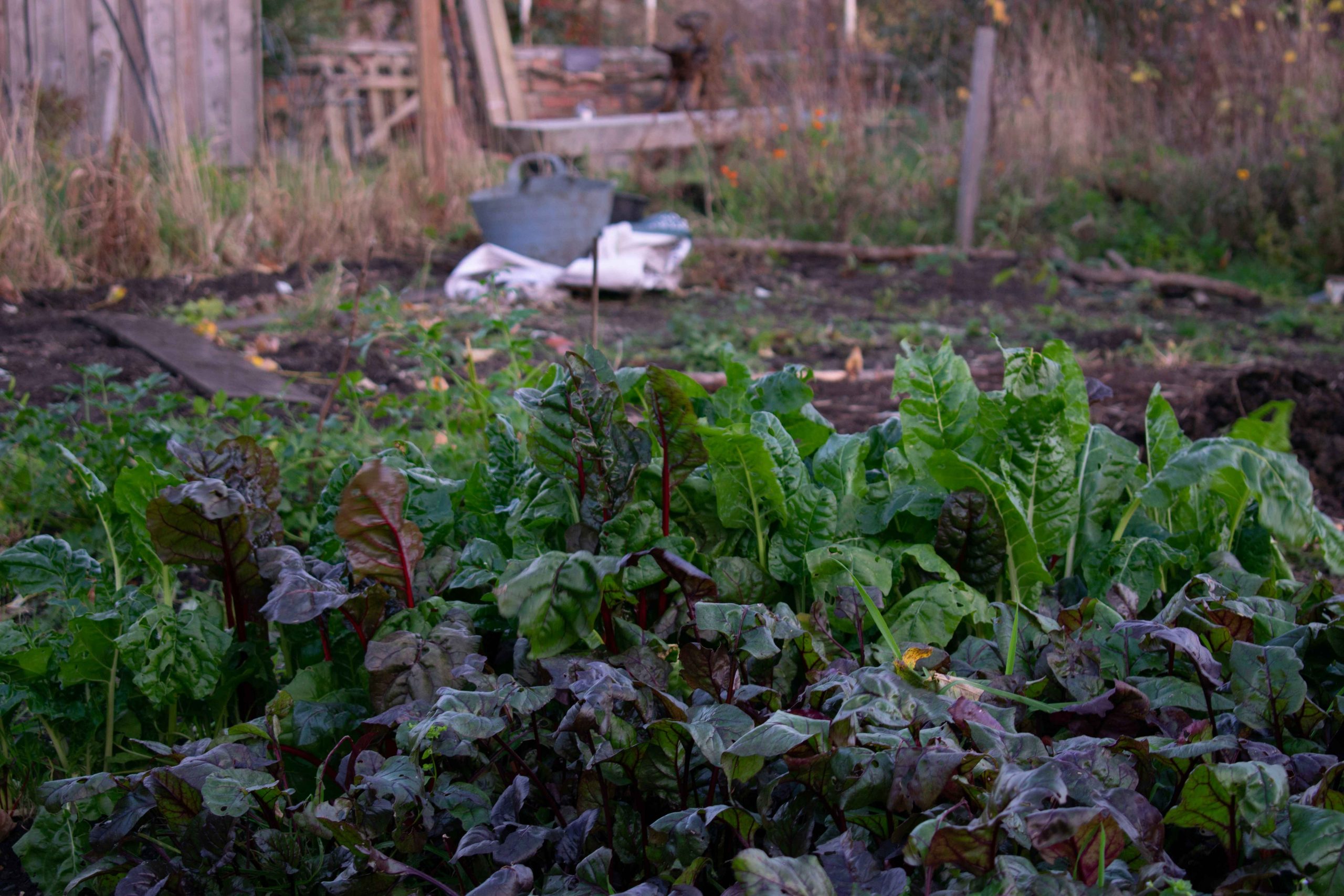 liam-m-6MysMF-jMUs-unsplash copy