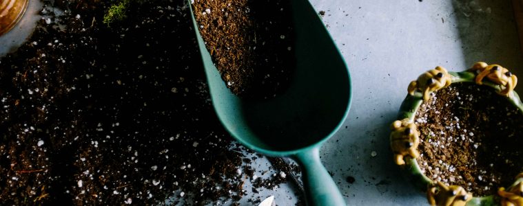 neslihan-gunaydin-BduDcrySLKM-unsplash copy