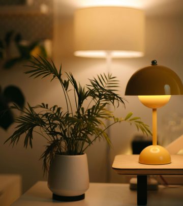 pexels-alphaen-31236097