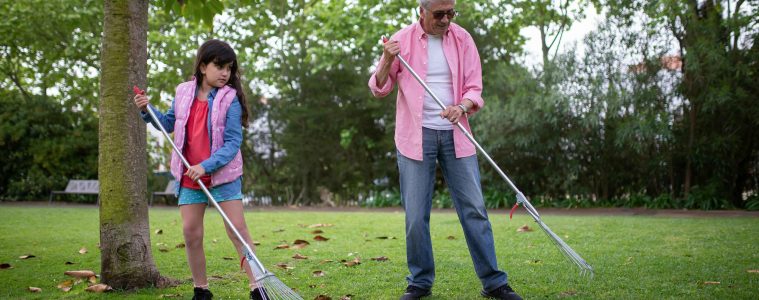 pexels-kampus-7854124 (1)