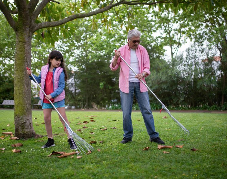 pexels-kampus-7854124 (1)