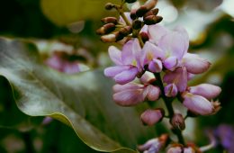 pexels-luna-luna-1821346-5786880