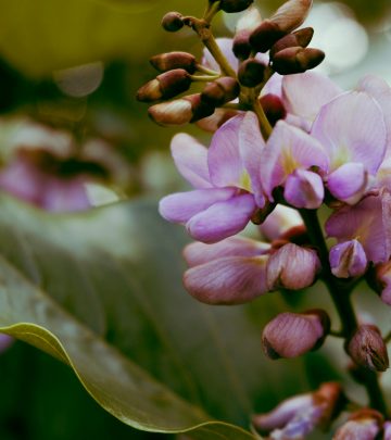 pexels-luna-luna-1821346-5786880