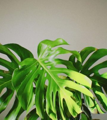 pexels-murat-yavuz-45421115-14320279-405x607