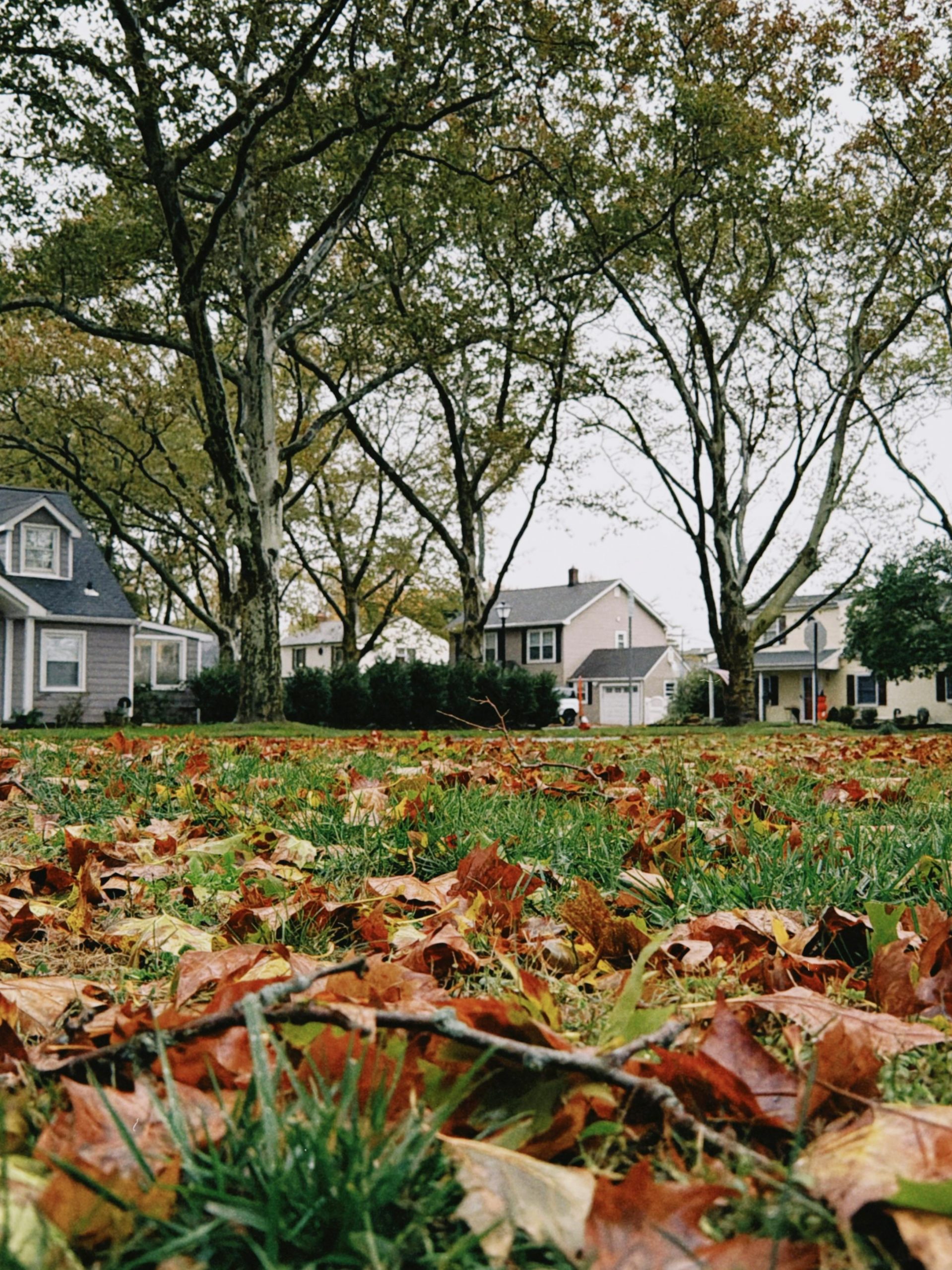 pexels-nico-c-2157014970-34522228