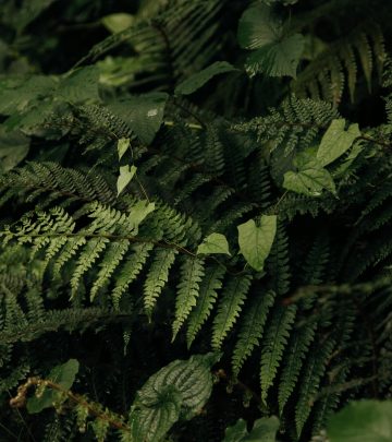 pexels-roman-odintsov-8747682