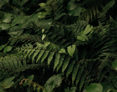 pexels-roman-odintsov-8747682