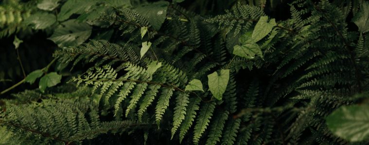 pexels-roman-odintsov-8747682