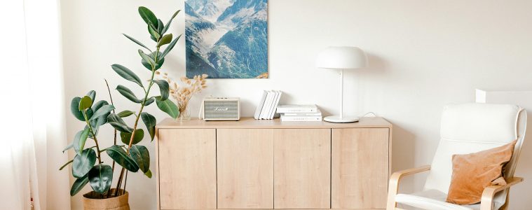 pexels-shkrabaanthony-4498873