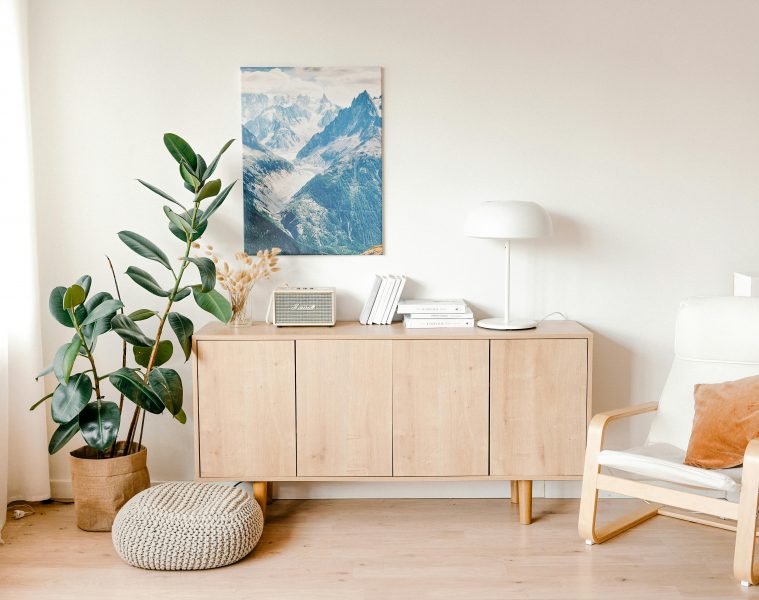 pexels-shkrabaanthony-4498873