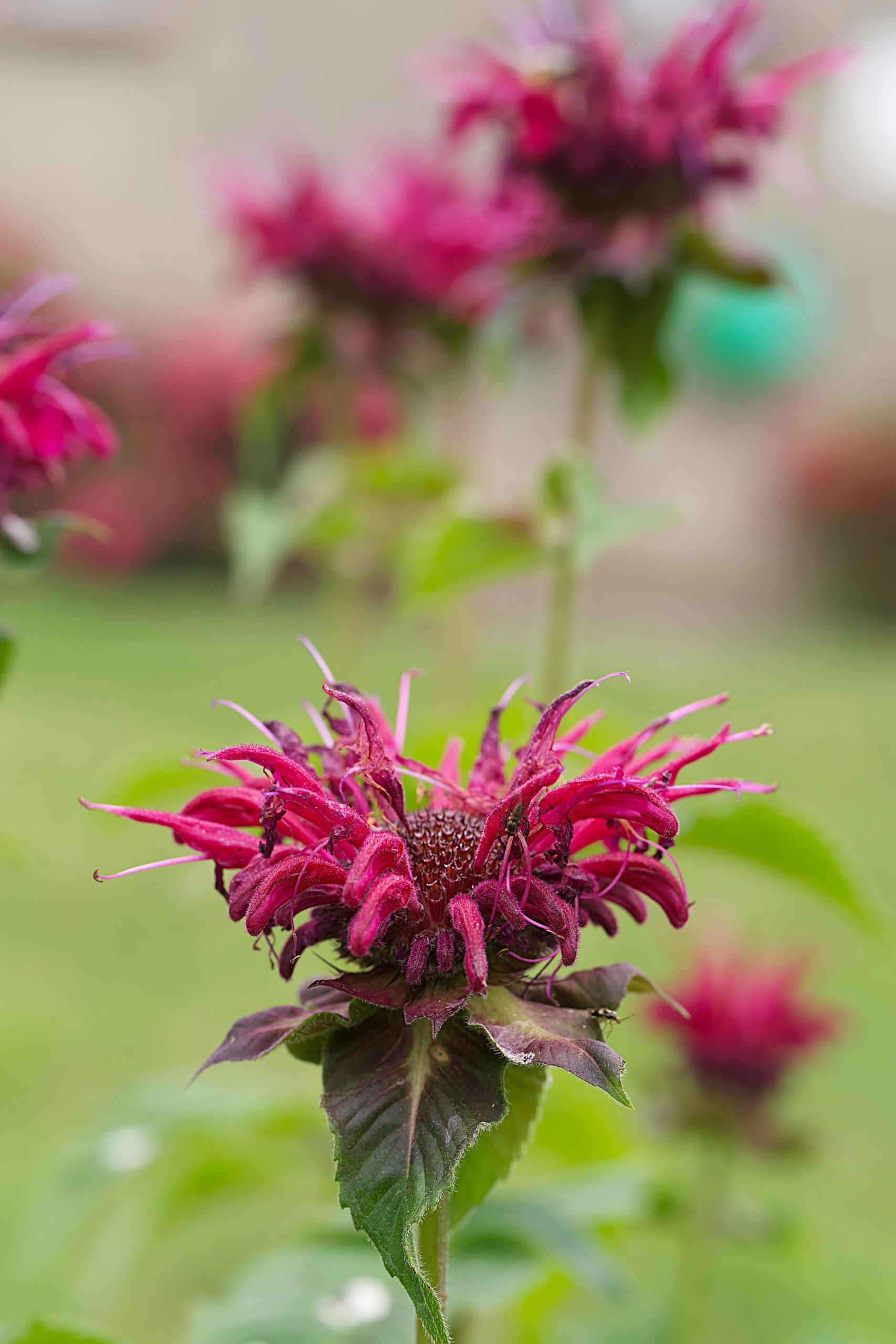 pexels-sylwester-ficek-154797634-32894520