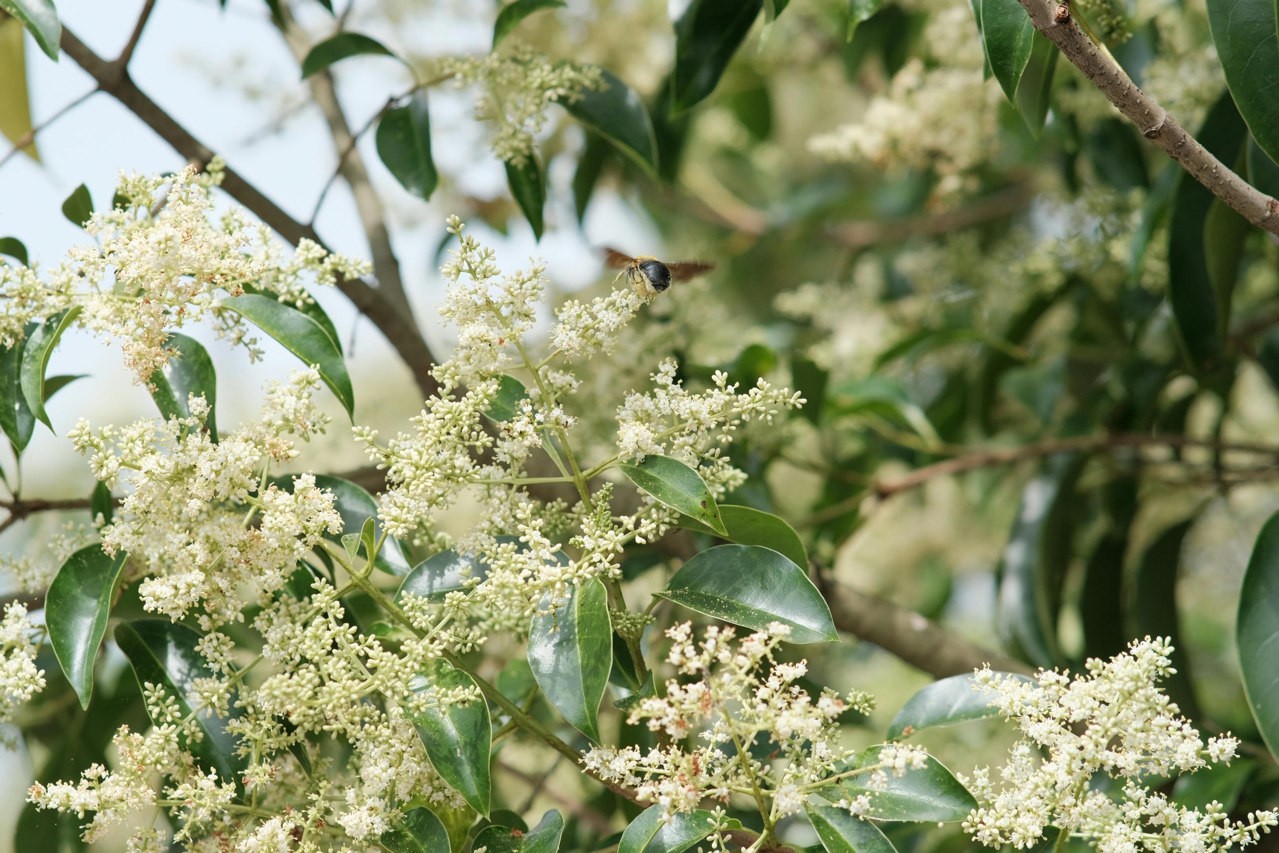 pexels-tizzy-16154536