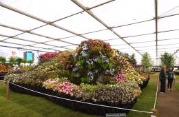 Chelsea Flower Show