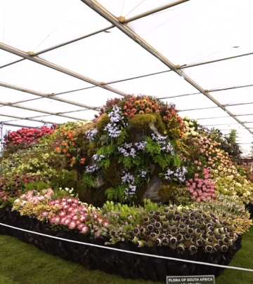 Chelsea Flower Show