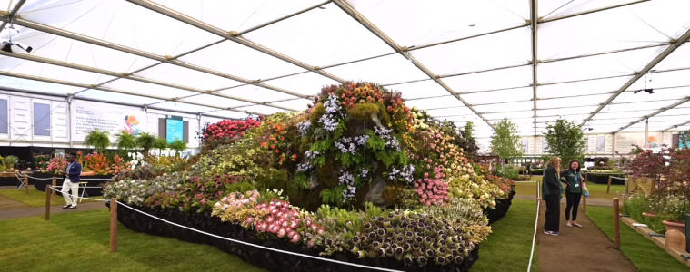 Chelsea Flower Show
