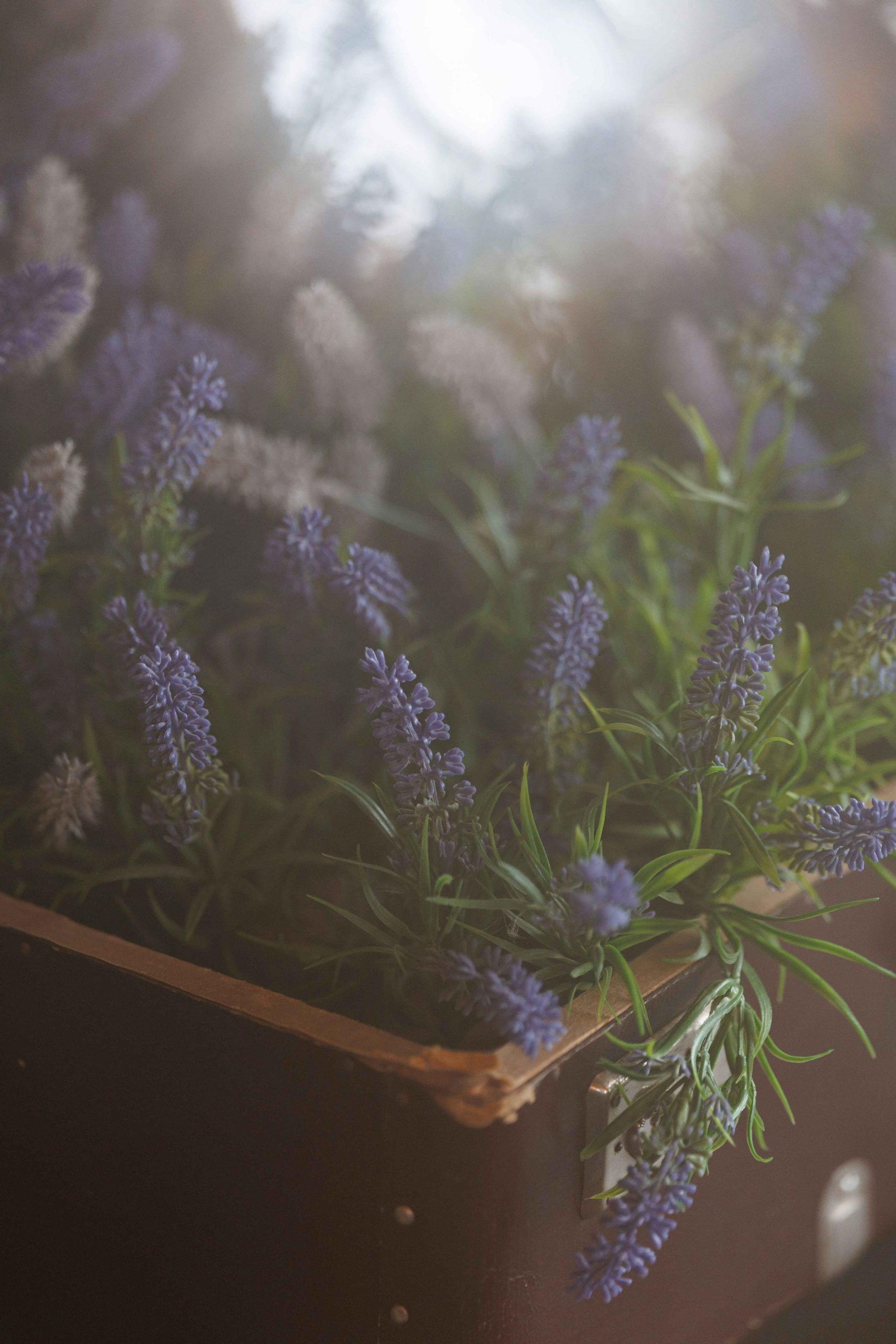 alexandr-popadin-9Hx_Fgi-3pU-unsplash copy