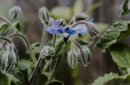 kate-cullen-BPyH-QaK-q4-unsplash copy
