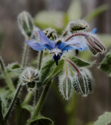 kate-cullen-BPyH-QaK-q4-unsplash copy