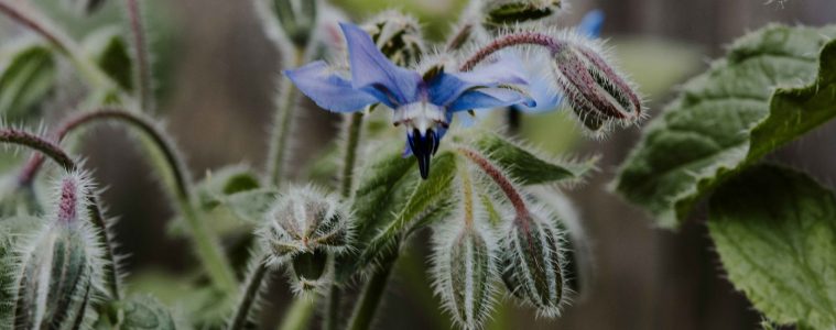 kate-cullen-BPyH-QaK-q4-unsplash copy